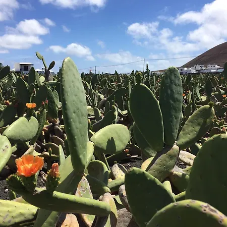 Casa Margarita - Shared Pool - Close To Seafront Promenade Villa *