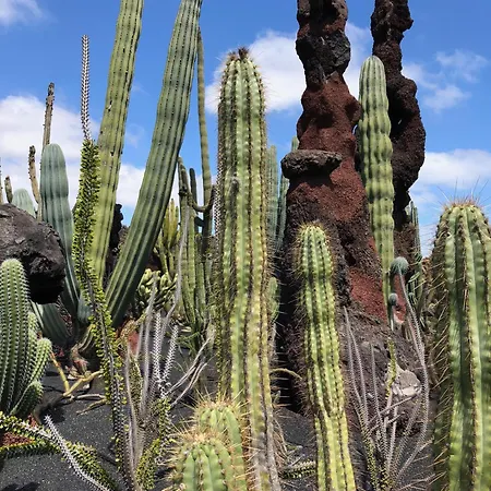 Villa Casa Margarita - Shared Pool - Close To Seafront Promenade Punta Mujeres