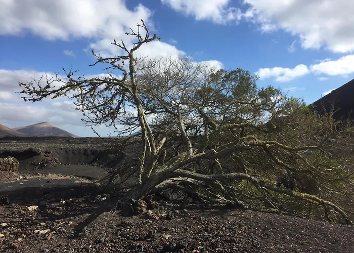 Вилла Casa Margarita - Shared Pool - Close To Seafront Promenade Пунта-де-Мухерес