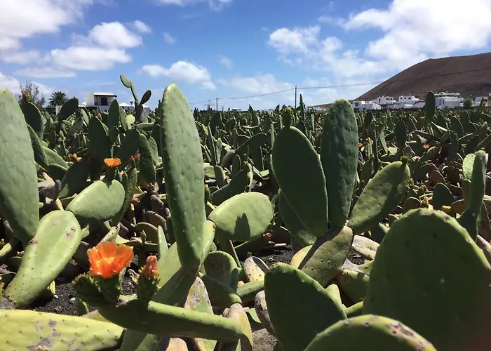 Casa Margarita - Shared Pool - Close To Seafront Promenade Вилла *