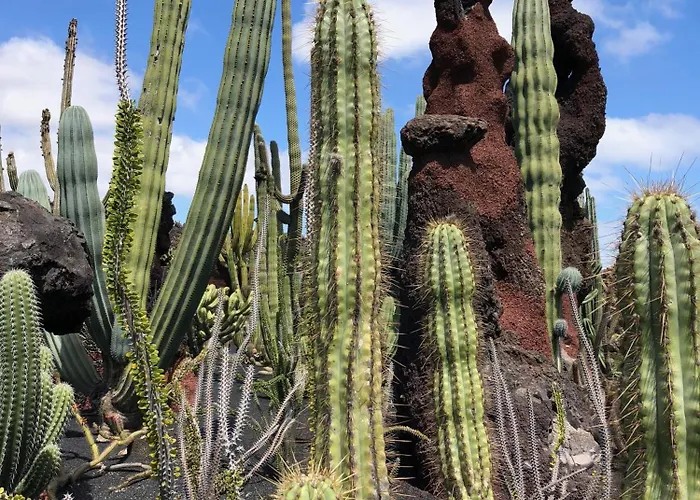 Вилла Casa Margarita - Shared Pool - Close To Seafront Promenade Пунта-де-Мухерес