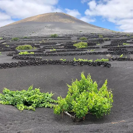 Casa Margarita - Shared Pool - Close To Seafront Promenade Villa