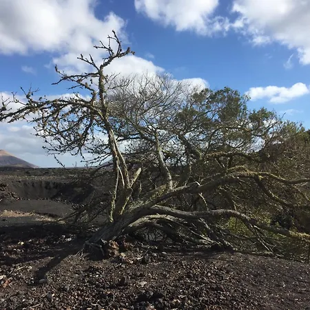 Villa Casa Margarita - Shared Pool - Close To Seafront Promenade Punta Mujeres