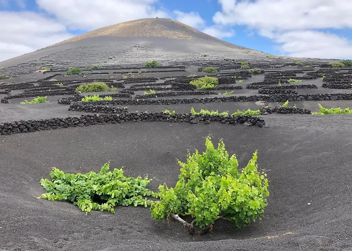 Casa Margarita - Shared Pool - Close To Seafront Promenade Villa